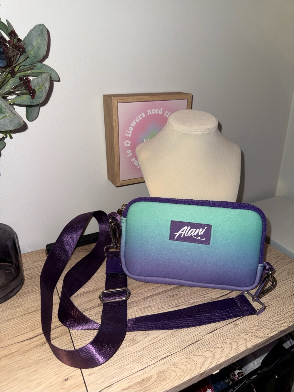 Alani Teal-to-Purple Ombre Crossbody Bag